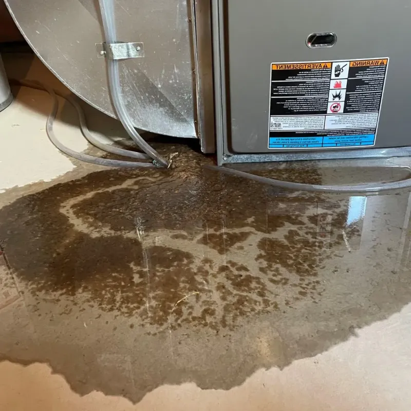 Pipe Burst and Leak Restoration in Silver Creek, NY